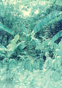 Near Amaogwugwu 1965